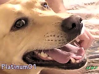 Sex video with man and dog