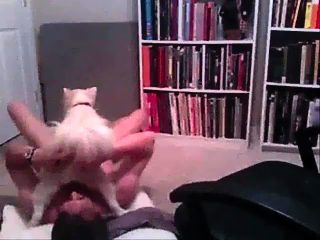 Sex video with man and dog