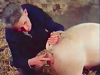 Animal porn with pig compilation