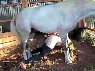 Man sex with horse