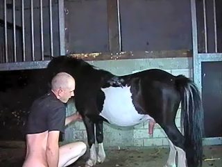 Man has sex with horse