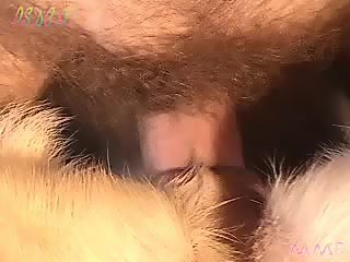 Free man has sex with dog