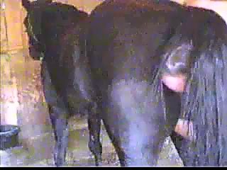 Man fucked horse's pussy