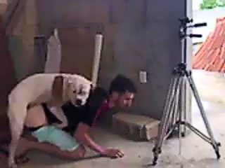 Amateur dog male porn