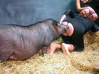 Porn pig with woman