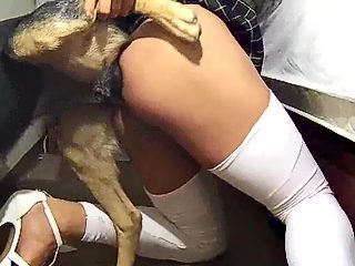 Man dog bestiality