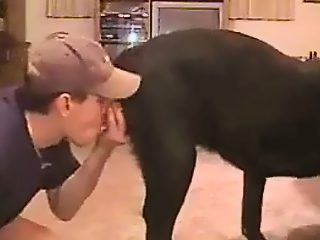 Dog man sex