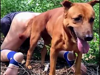 Dog fuck man porn
