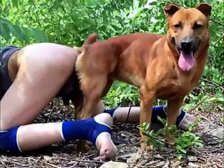 Dog fuck man porn