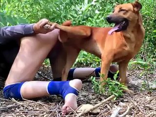 Dog fuck man porn