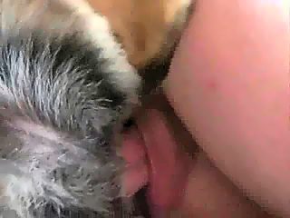 Man female dog sex