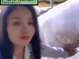 China girl handjob pig