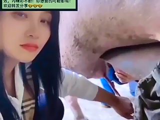 China girl handjob pig