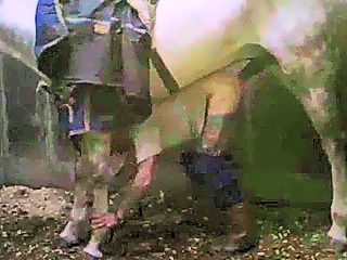 Men having sex with horses