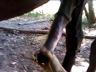 Gay man jerkoff horse