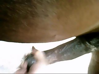 Gay man jerkoff horse