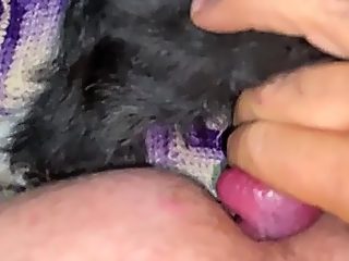 Dog and man xxx videos