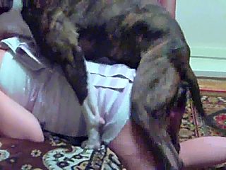 Dog porn homemade