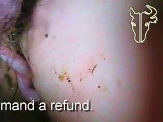 Porn animal man and pig