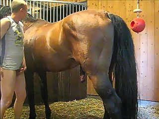Man and horse xxx