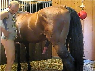 Man and horse xxx