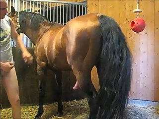 Man and horse xxx