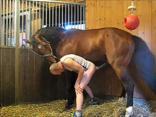 Man and horse xxx