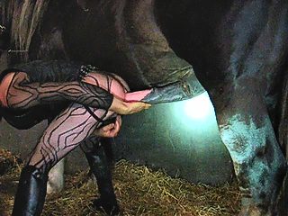 Horse and human sex
