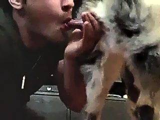 Dog gets oral sex from man