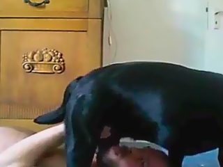 Dog gets oral sex from man