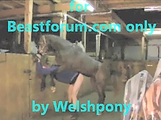 Man and horse sex video