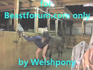 Man and horse sex video