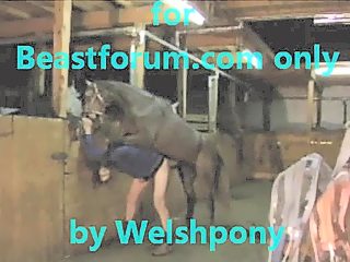 Man and horse sex video