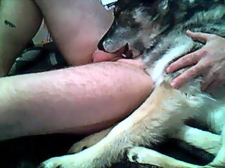 Dog blow job man compilation