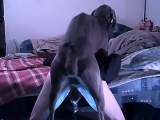 Dog fucking gay man