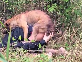 Dog and man porn