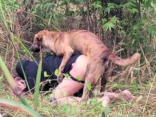 Dog and man porn