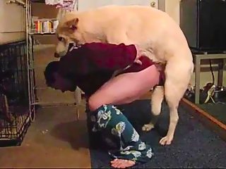 Home man dog sex