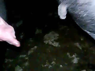 Gay jerkoff dogs cock